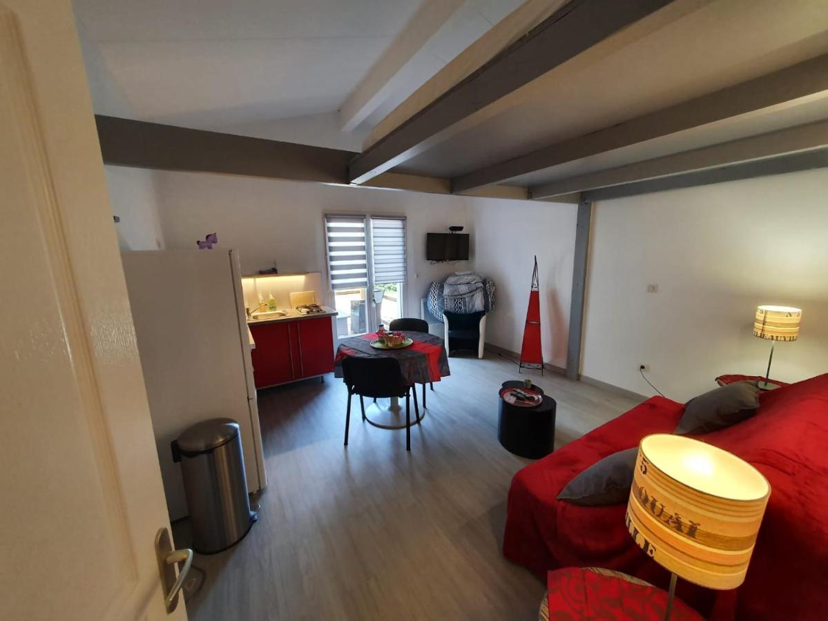 Dormir A Montauban Logements Carreyrat Calme Et Verdoyant Esterno foto