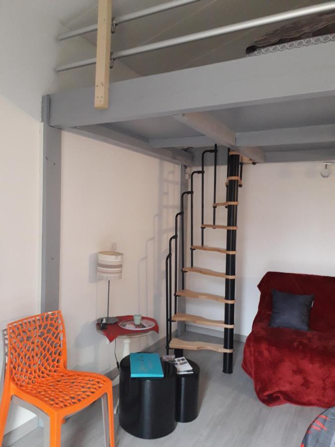 Dormir A Montauban Logements Carreyrat Calme Et Verdoyant Esterno foto