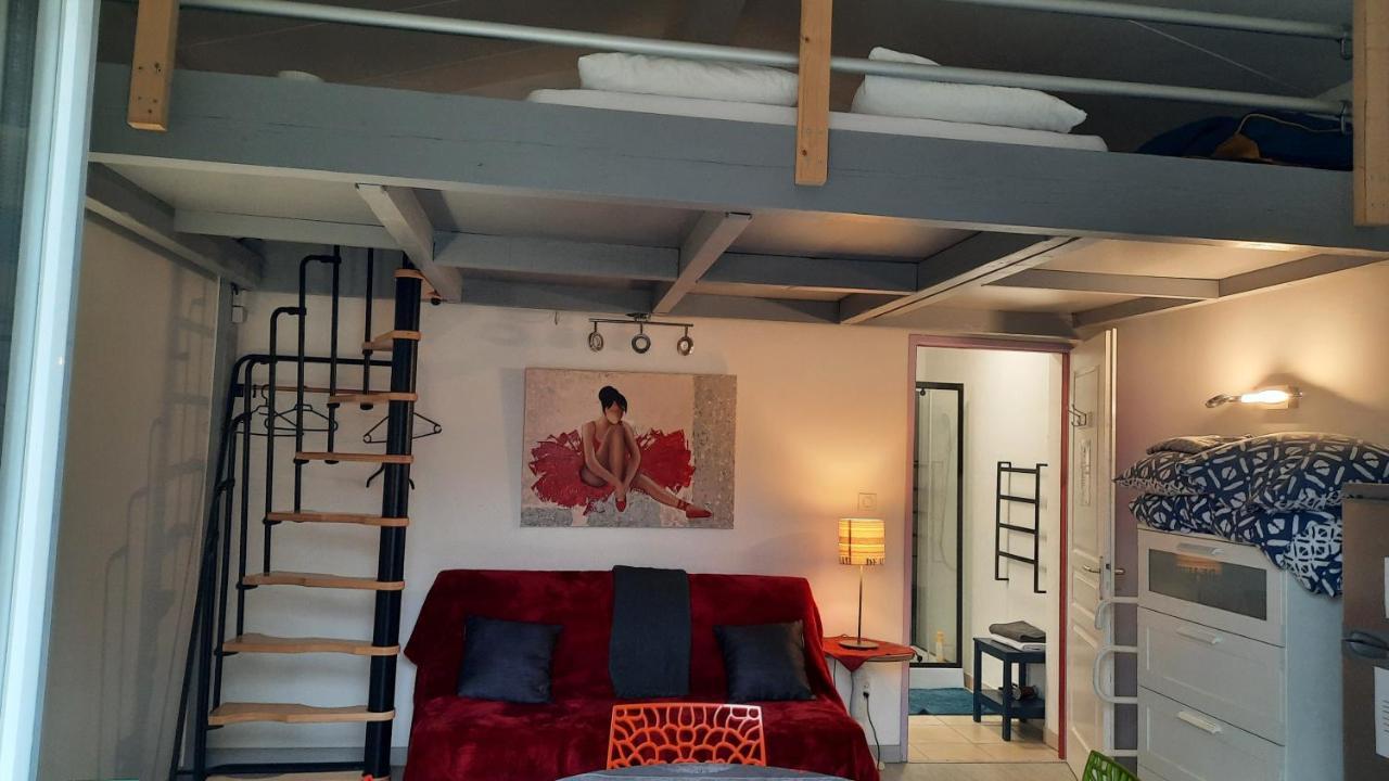 Dormir A Montauban Logements Carreyrat Calme Et Verdoyant Esterno foto