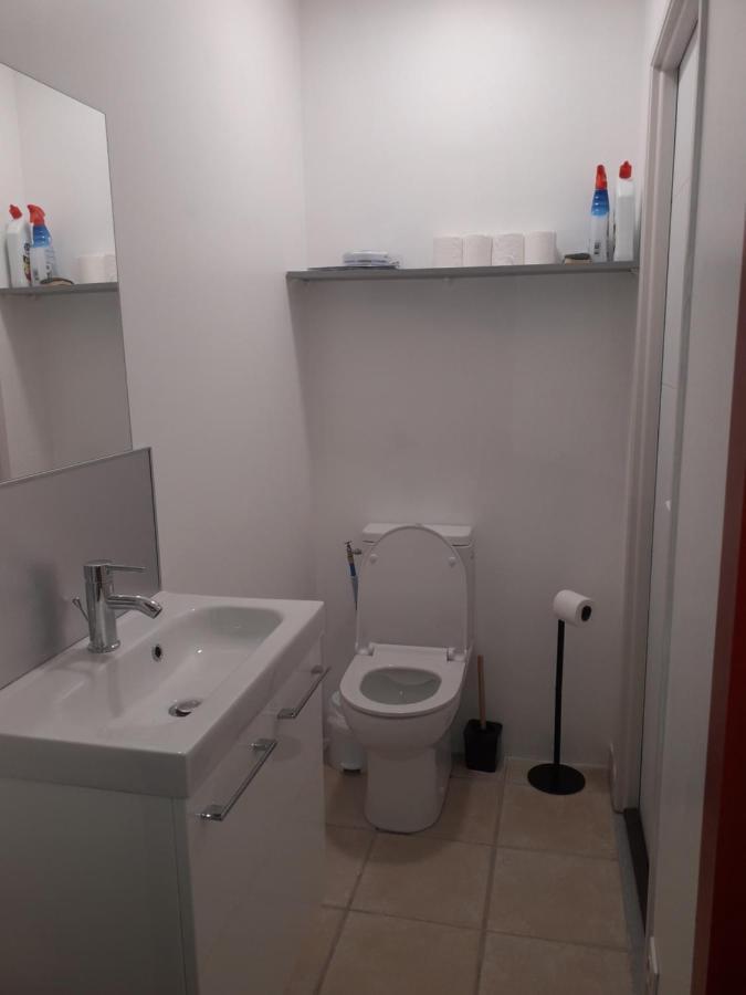 Dormir A Montauban Logements Carreyrat Calme Et Verdoyant Esterno foto