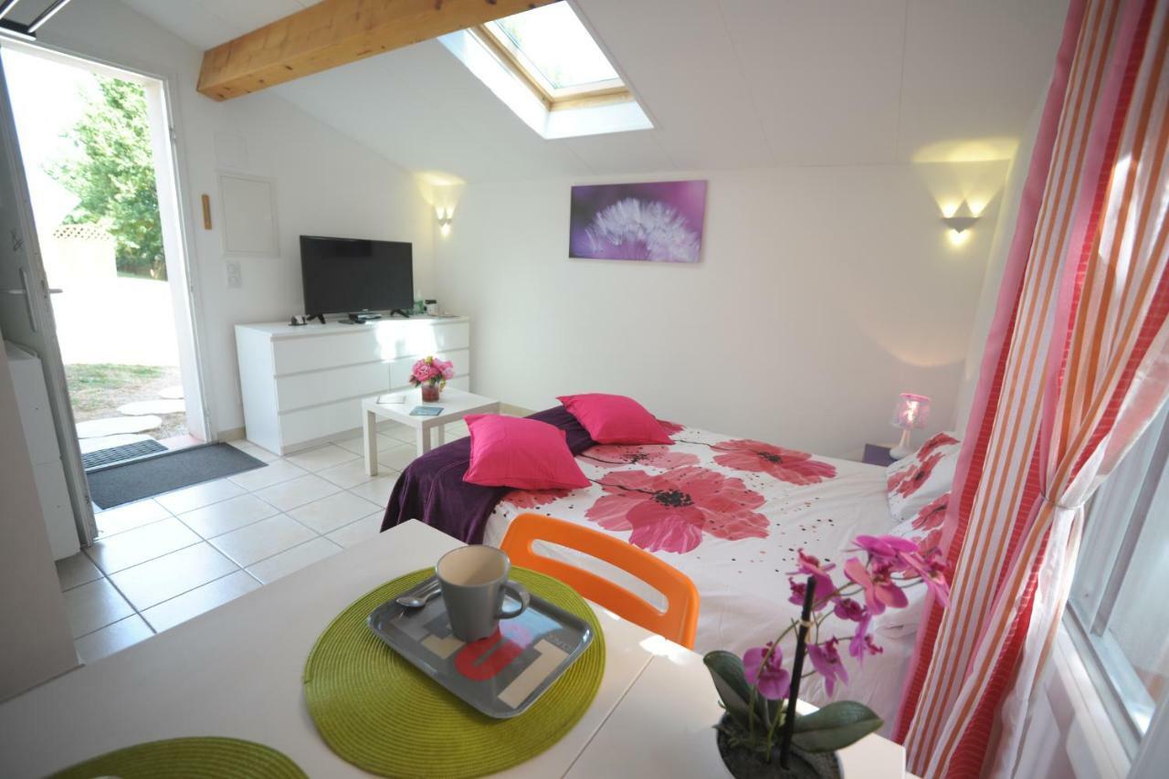 Dormir A Montauban Logements Carreyrat Calme Et Verdoyant Esterno foto